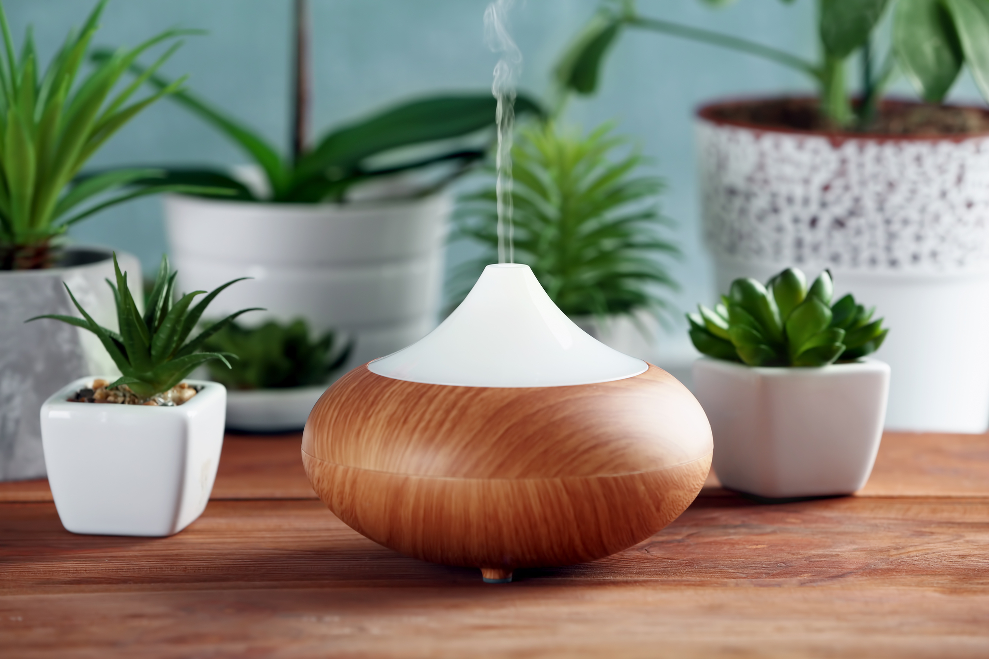 Aroma diffuser test De 9 bedste diffusere (september 2024)