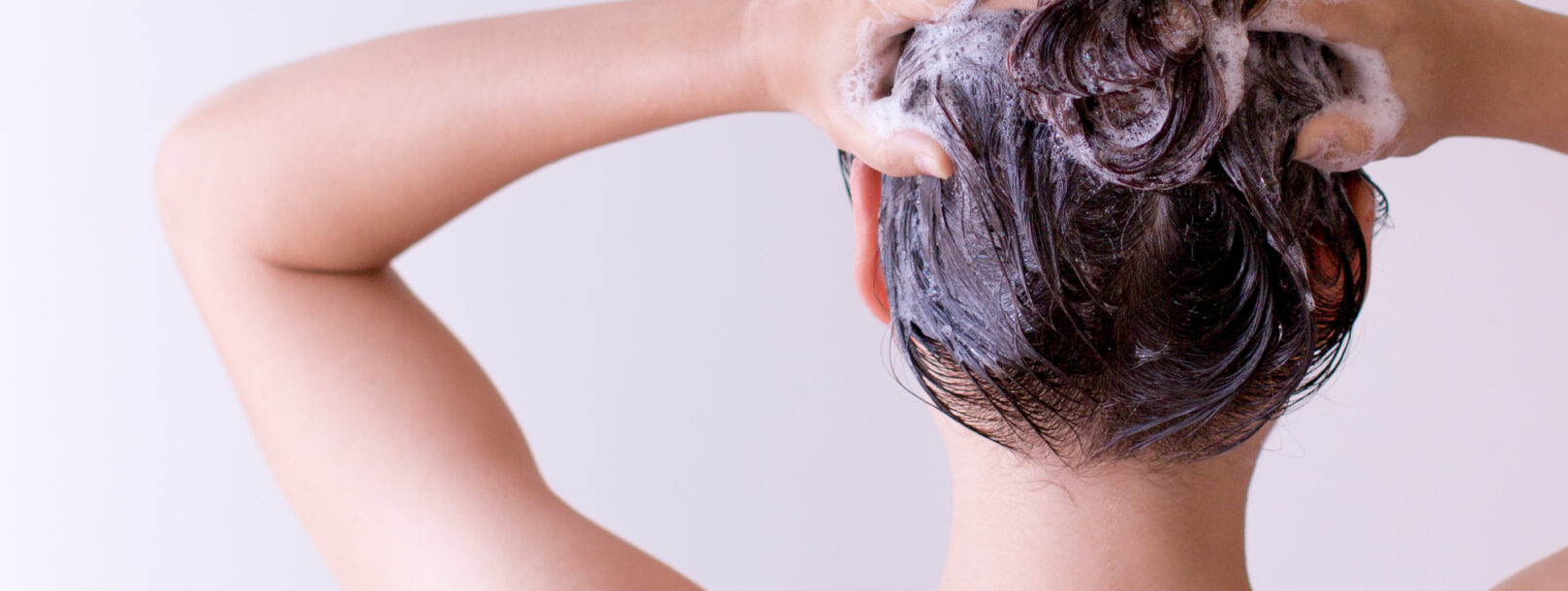 luseshampoo i test [2023] | De 8 shampooer mod lus